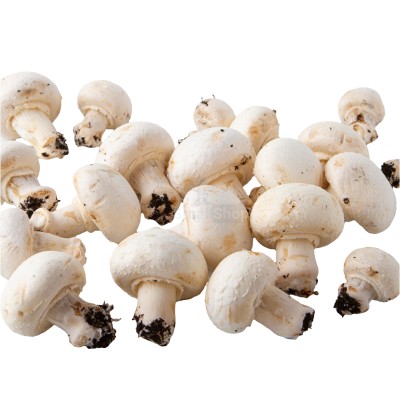 Шампиньоны свежие 500 г - купить в Аслаево